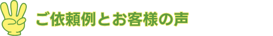 ご依頼事例とお客様の声